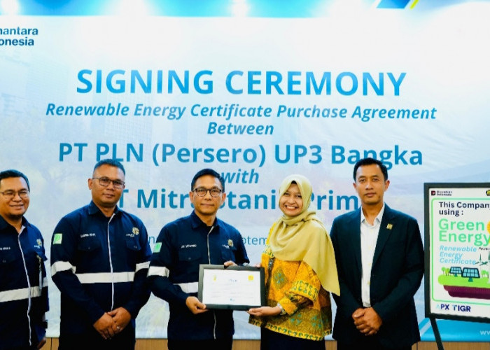 PLN Babel dan PT MSP Perkuat Komitmen Energi Bersih Lewat Penandatanganan Perjanjian REC