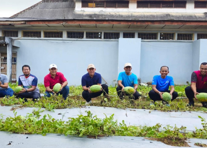 Lapas Pangkalpinang Ajak Forkopimcam Wujudkan Ketahanan Pangan Lewat Panen Semangka