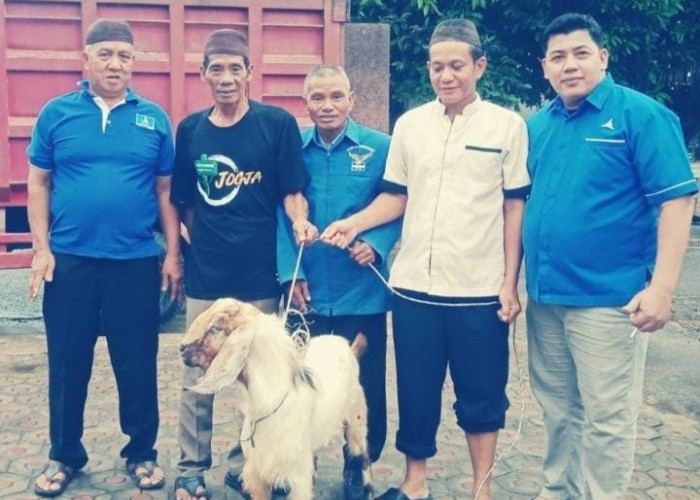Partai Demokrat Basel Serahkan Kambing Kurban ke Desa Serdang