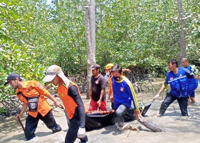 BREAKING NEWS, Hilang Tenggelam, Jasad Ahak ditemukan di Hutan Bakau
