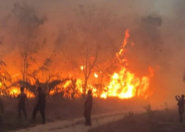 BPBD Bangka Barat Larang Warga Buka Lahan Dengan Cara Dibakar