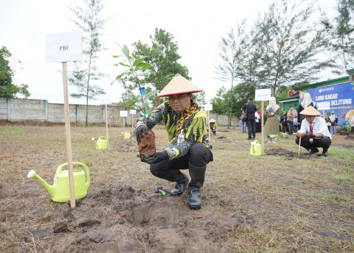 Bank Indonesia Dukung Net Zero Emissions Melalui Penanaman 1.000 Pohon Kakao di Bangka Belitung