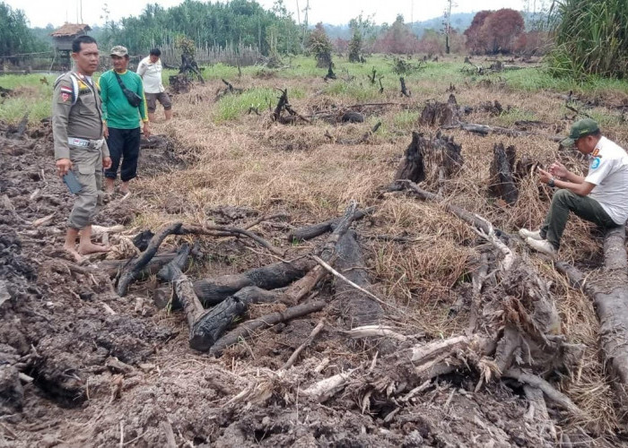 Pasca Dihentikan, Pol PP Bangka Pantau Konservasi Sungai Upang yang 20 Hektar Sempat Dihajar Alat Berat