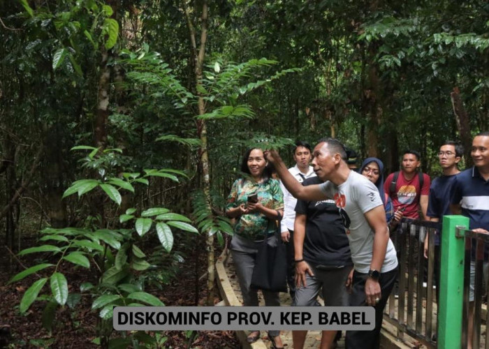 Bukit Peramun, Pj Gubernur Suganda: Wisata Alam Berkonsep Digital yang Harus Didukung
