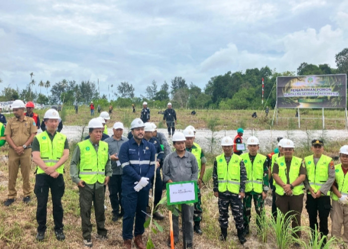 HL Sengkah Tengkalat  Mapur Dihijaukan dengan Jambu Mente dan Kayu Putih