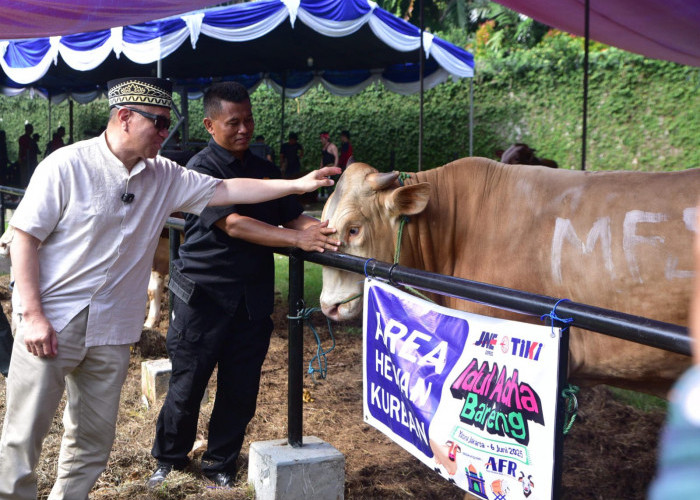 JNE Rayakan Idul Adha 1446 H dengan Semangat Berbagi dan Promo Spesial