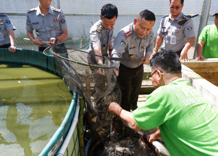 Lapas Narkotika Pangkalpinang Panen Ikan Patin, Wujud Nyata Dukung Ketahanan Pangan