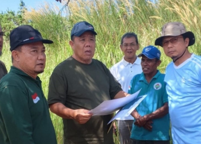 Maksimalkan Potensi HKm, Pemprov Babel dan Pemkab Bangka Tengah Wacanakan Perkebunan Kelapa di Batu Beriga