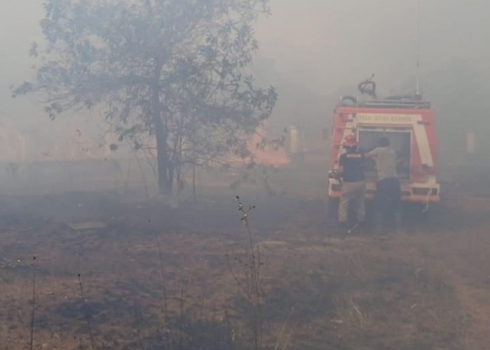 Giliran Hutan Belakang Kantor DPRD Basel Terbakar, Rumdin Kosong Ikut Hangus