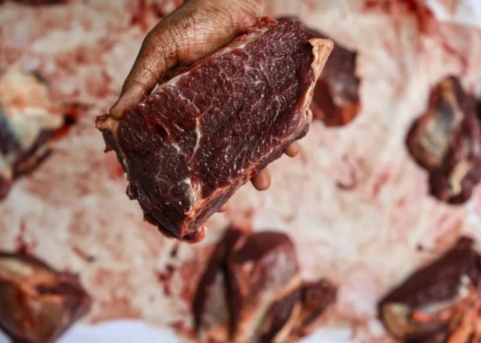 Sebentar Lagi Lebaran Kurban, Ini Perbandingan Kolesterol Daging Kambing dan Sapi