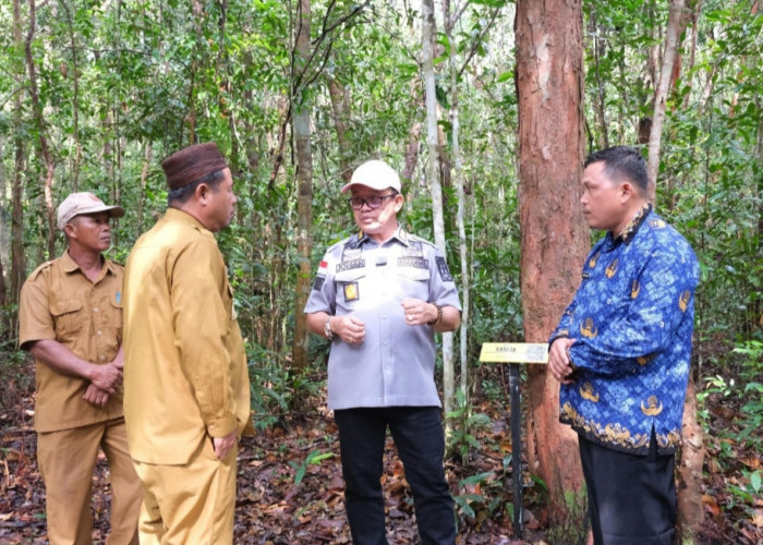 Kemenkum Babel Pantau dan Dokumentasikan Jamur Pelawan Namang untuk Sertifikasi Indikasi Geografis