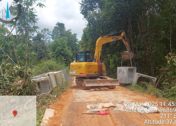 Jembatan Serai dan Jalan Penghubung Jeriji - Tepus Sudah Diperbaiki, Elfan Sampaikan Ini 