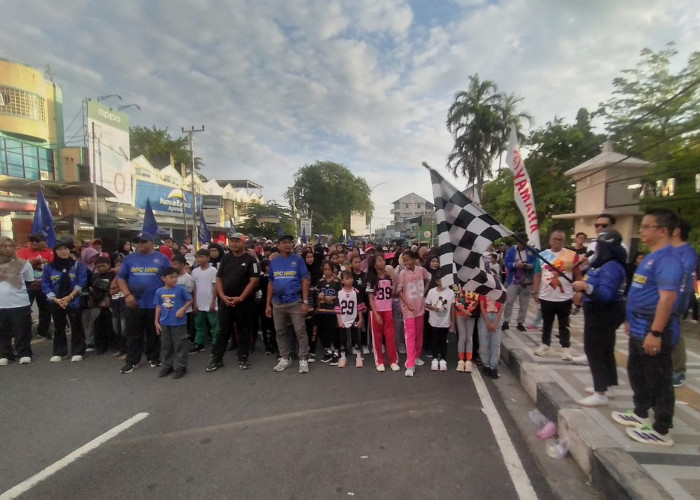 Jalan Sehat, Bazar UMKM, hingga Hiburan Artis Ibukota Warnai Kemeriahan HUT HNSI Bangka ke-53