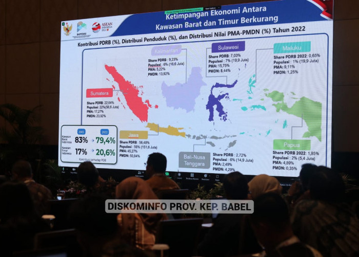 Pj Gubernur Suganda Inginkan Indikator Khusus Daerah Kepulauan pada RPJPN 2025-2045 