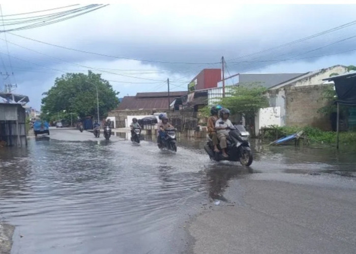 Banjir Rob Rendam Rumah Warga Kampung Opas Pangkalpinang