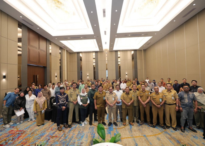 Kaya Potensi, Pemprov dan YKAN Gagas Program Konservasi Mangrove Bertajuk Serumpun Sebalai Babel