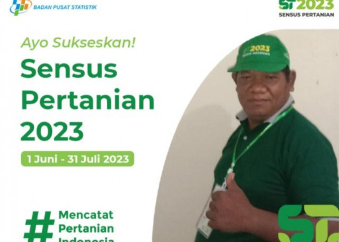 Realisasi Sensus Pertanian di Bangka 70,12 Persen 