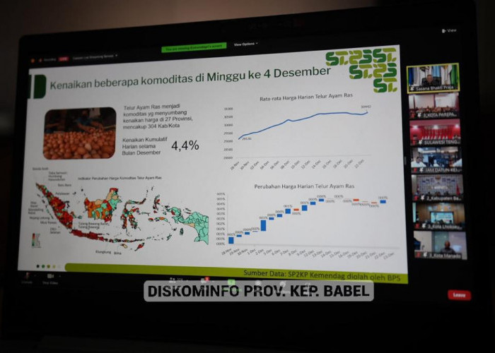 Mendagri Ingatkan 9 Poin Penting Pengendalian Inflasi 