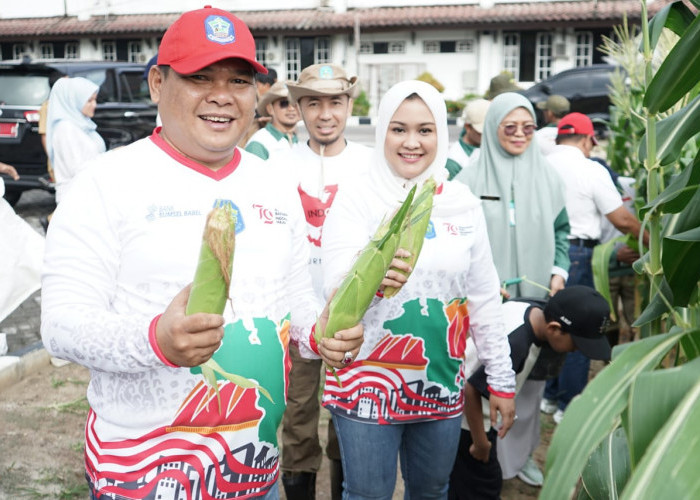 Panen Jagung, Pj Bupati Haris Ajak Masyarakat Manfaatkan Halaman Kosong 