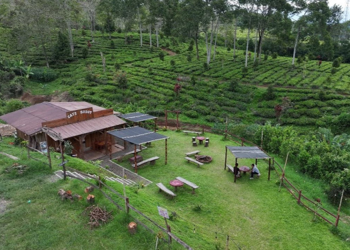 Kampung Koboi Tugu Selatan, Wujud Transformasi Desa Berbasis Potensi Lokal dalam Program Desa BRILiaN