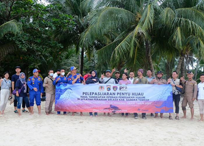 Selamatkan Penyu, PT Timah Tbk Ikut Pelepasliaran Ratusan Anak Penyu di Pulau Ketawai
