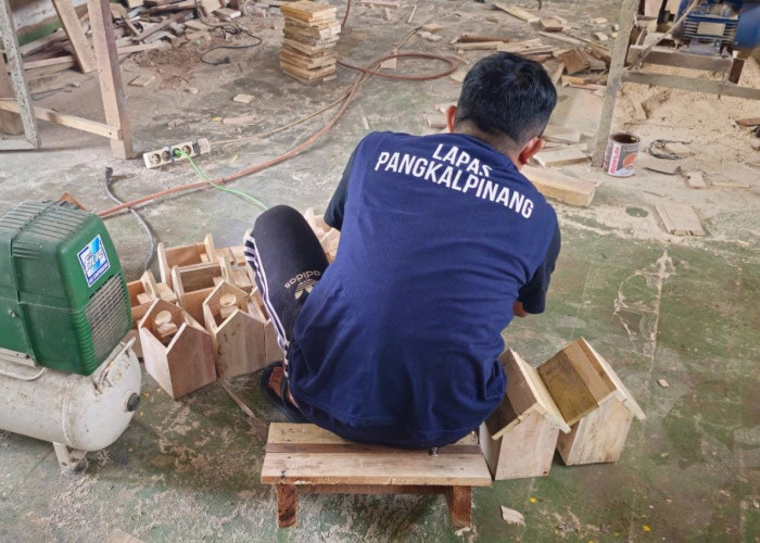 Warga Binaan Lapas Pangkalpinang Produksi Sarang Lovebird, Siap Masuk Pasar