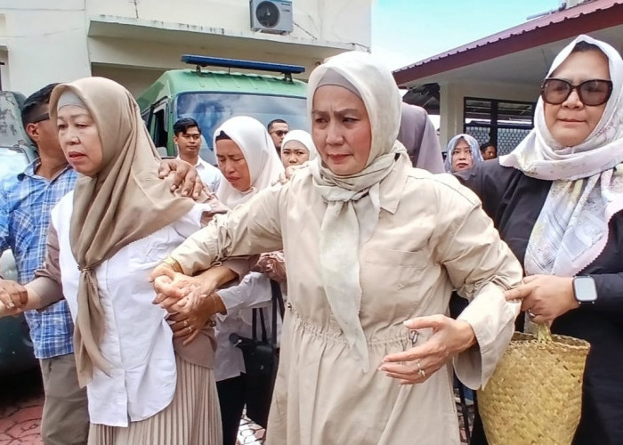 Tok! Wagub Hellyana Divonis 4 Bulan Kurungan 