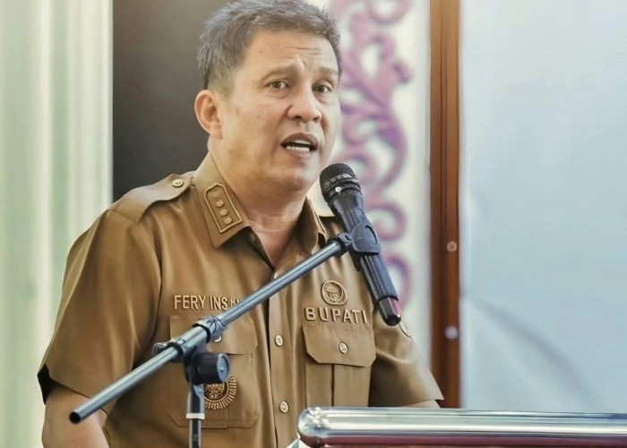 Bupati Fery Insani Prihatin, Jembatan Penghubung Desa Mapur Diduga Sengaja Dibakar Hangus