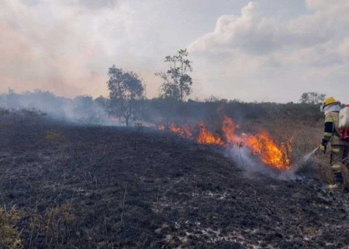 Karhutla Beltim Capai 149 Kasus, 284 Hektare Terbakar hingga 14 Agustus 2026