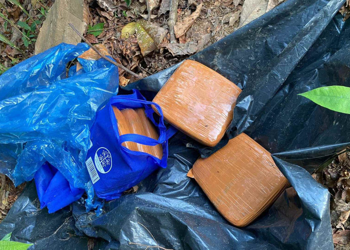 Warga Air Duren Temukan 5 Bungkusan Diduga Ganja Tak Bertuan di Kebun Sawit