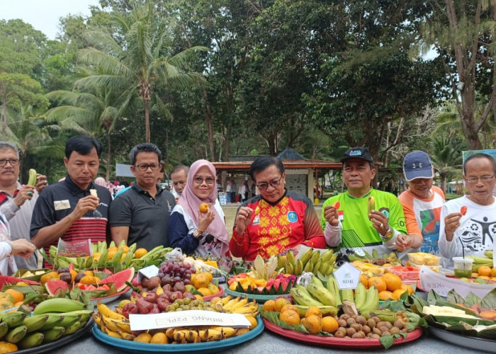 Peringatan HKN, HAKLI Babel Lomba Nasi Tumpeng Menu Sehat