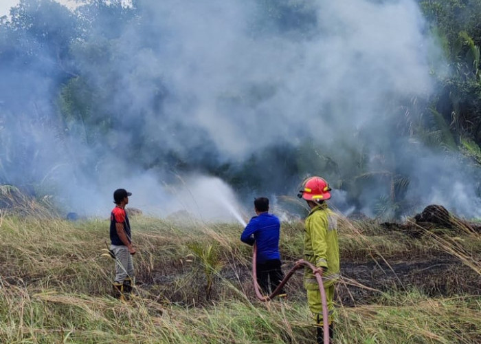 Kebakaran Hutan di Kurau, Diduga Terjadi Ulah Oknum