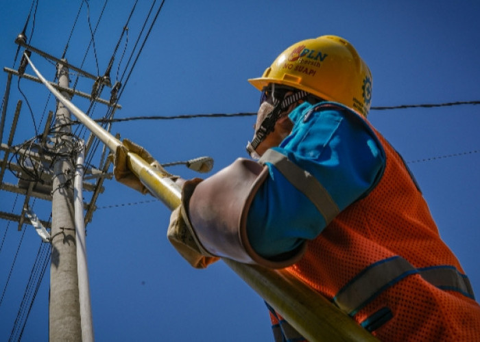 Kapasitas Perseroan Makin Kuat, PLN Jaga DER dan CICR Tetap Positif Sepanjang 2024