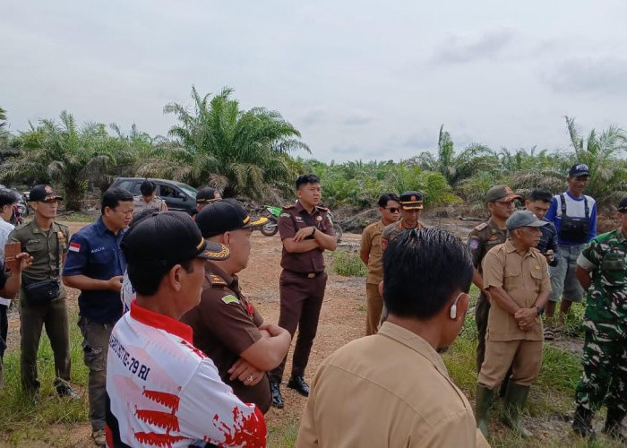 Timgab Turun ke Serdang, Sawit yang Ditanam di Sawah Langsung Dicabut 