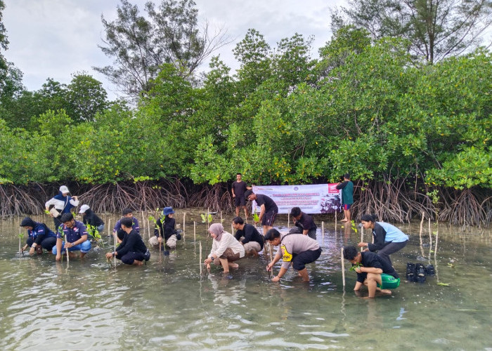 Kapolsek Apresiasi Honda Babel dan UBB Tanam 1001 Bibit di Pesisir Lepar