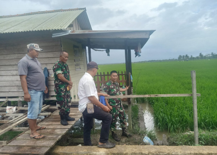 Tinjau Sawah Desa Rias, Dandim Berharap Jadi Lumbung Beras Bangka Belitung