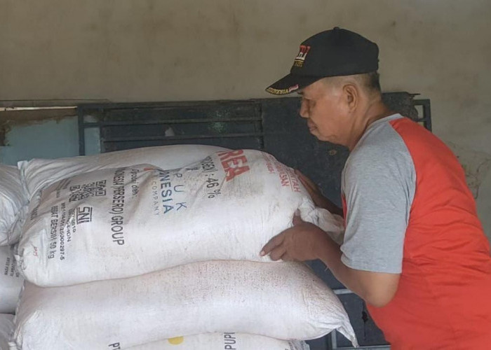 Petani Desa Rias Bahagia, Harga Pupuk Subsidi Turun 20 Persen dari Pemerintah Pusat
