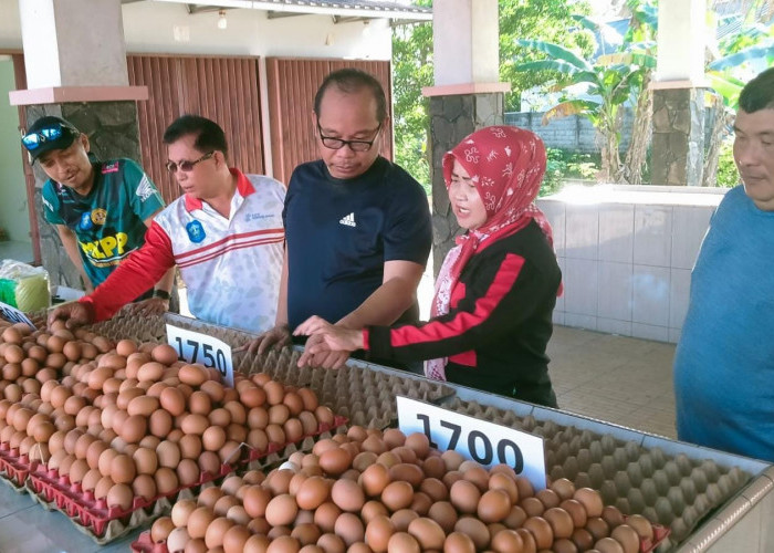 Empat SPPG di Bangka Butuh 98 Ribu Butir Telur Ayam per Bulan untuk MBG   