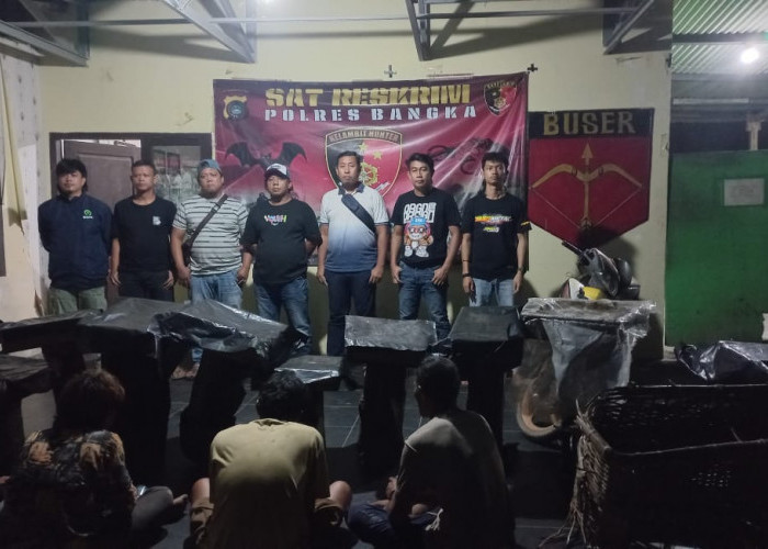 Curi Madu Kelulut, Empat Pria Ditangkap Tim Kelambit 