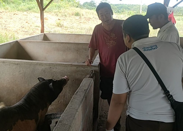 Jelang Imlek Daging Babi Dipastikan Tercukupi di Basel 