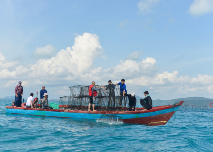 PT Timah Tbk Bersama Kelompok Nelayan Ridho Divine United Tenggelamkan Cumi-cumi Penarik di Laut Rebo