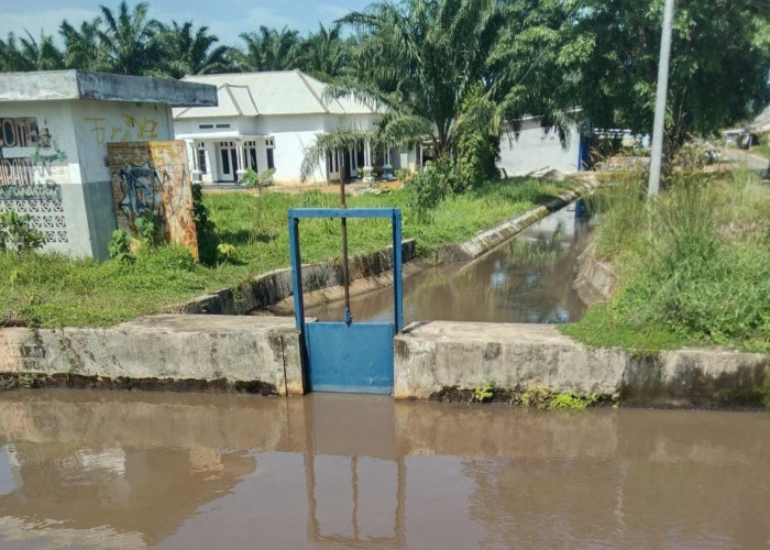 Pengairan Sawah Rias Keruh, Diduga Ada Aktivitas Penambangan 