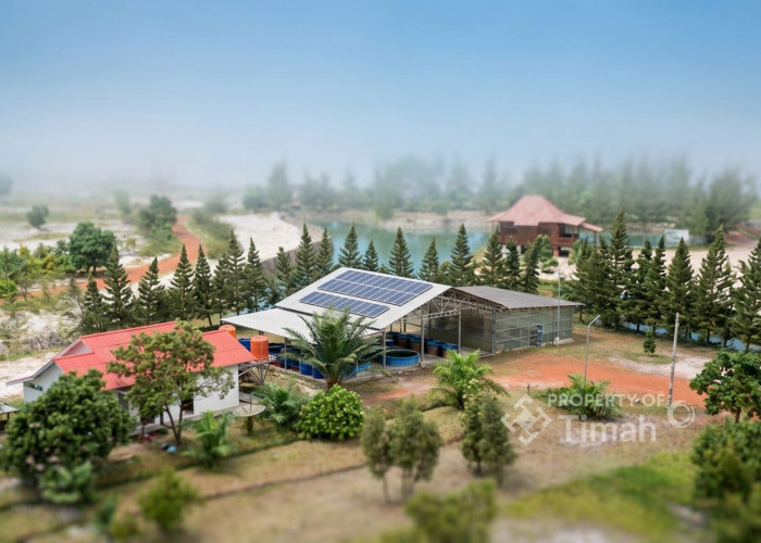 PT Timah Perkuat Langkah Dekarbonisasi, Bidik Net Zero Emission 2060