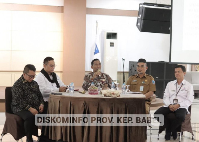 Pemprov. Babel Gandeng Ombudsman RI Cegah Maladminitrasi Pelayanan Publik Sektor Ekonomi