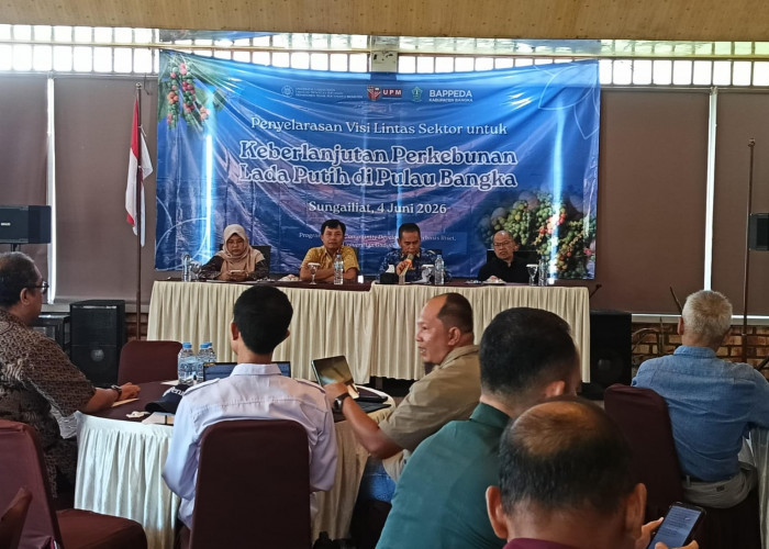 Bappeda Bangka Susun Peta Jalan Keberlanjutan Perkebunan Lada Putih