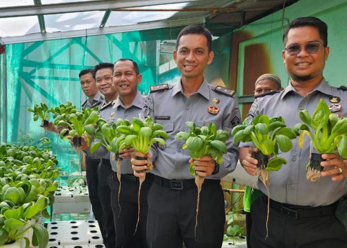 Budidaya Pakcoy Hidroponik di Lapas Narkotika Pangkalpinang: Inovasi Pembinaan dan Ketahanan Pangan