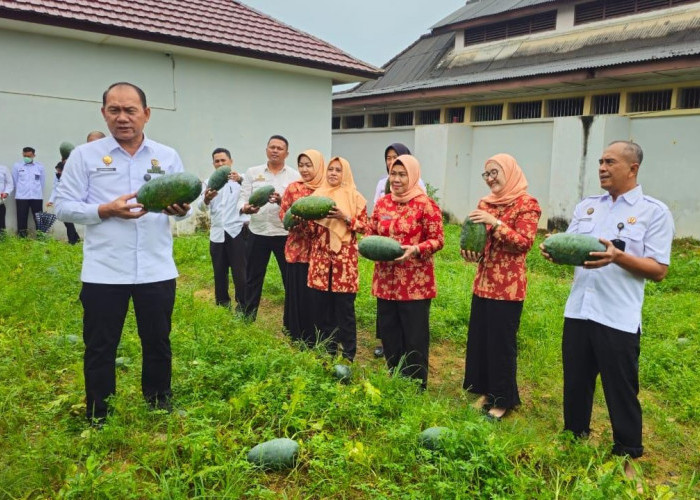 Lapas Pangkalpinang Panen 106 Kg Semangka Inul