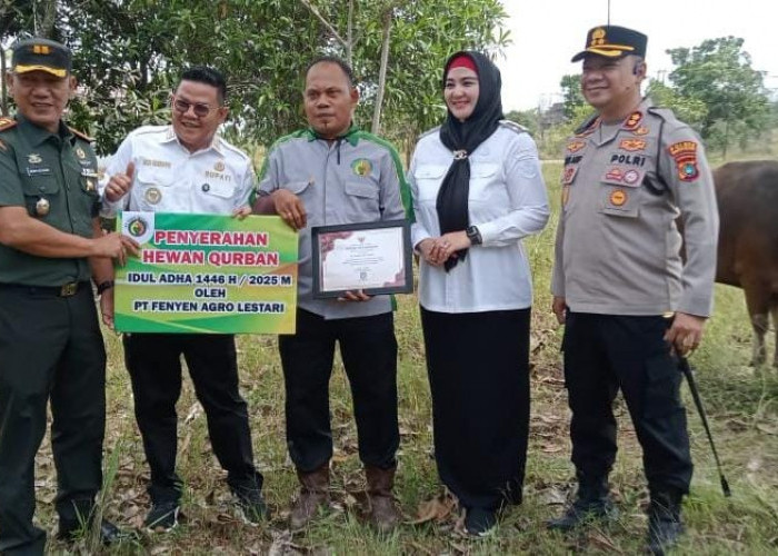 Pemkab Basel Terima Bantuan CSR Sapi dan Kambing dari Perusahaan, Ada Uang Tunai Juga 