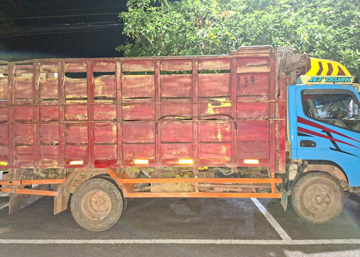 Dua Supir TBS Gelapkan Buah Sawit Perkebunan, Segini Totalnya 