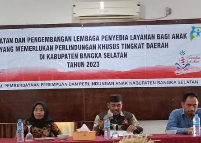 DSPPPA Basel Bina Lembaga Penyedia Layanan Bagi Perempuan dan Anak